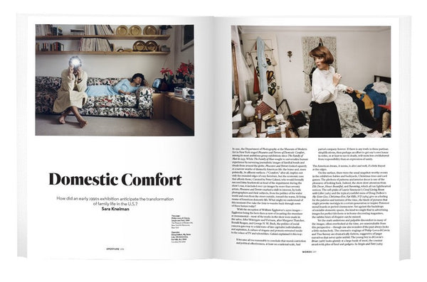 A shot of a the inside of a magazine that features an article titled "Domestic Comfort". On either page is an image to complement the article. 